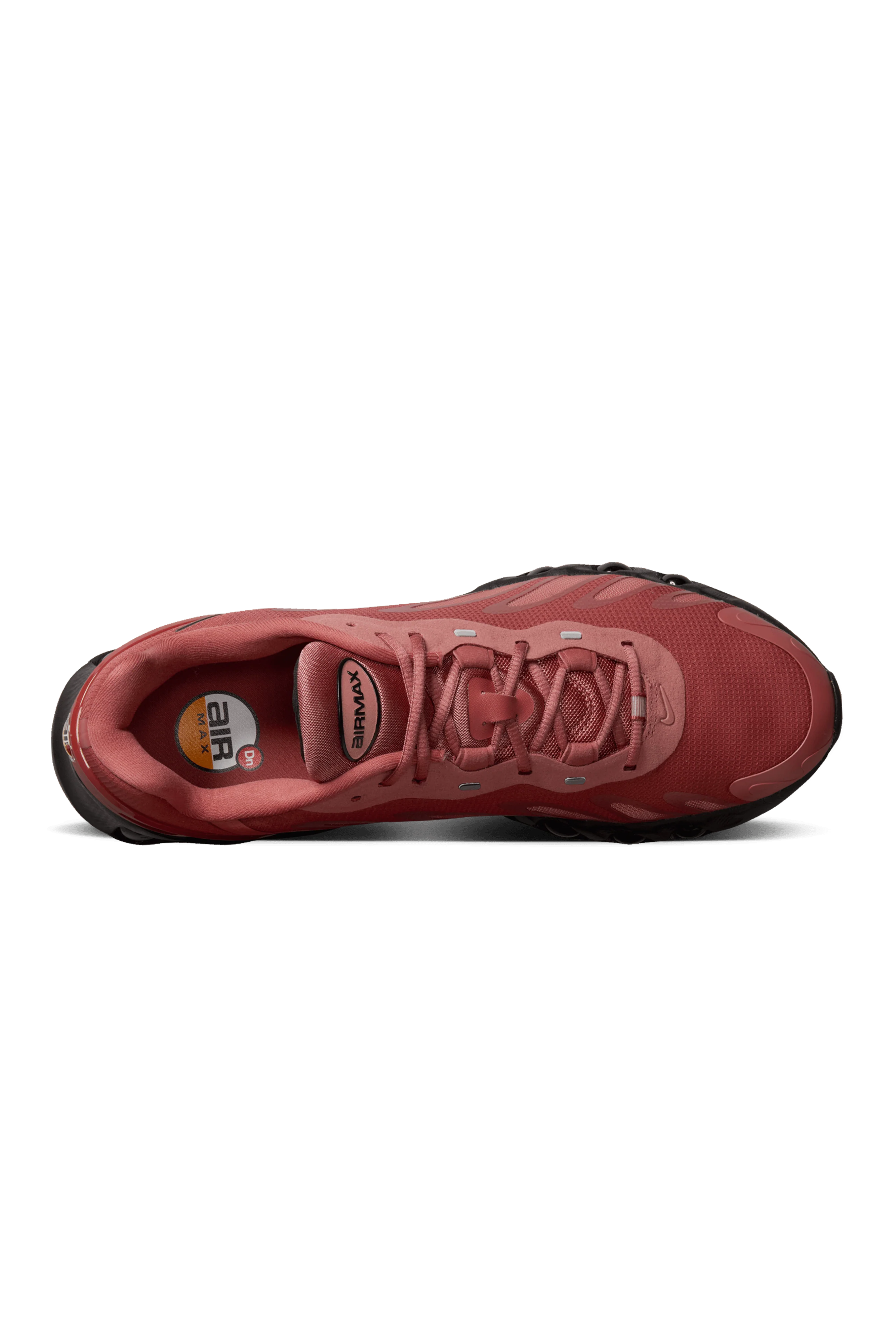 Air Max Dn8 " Canyon Rust" - Image 3