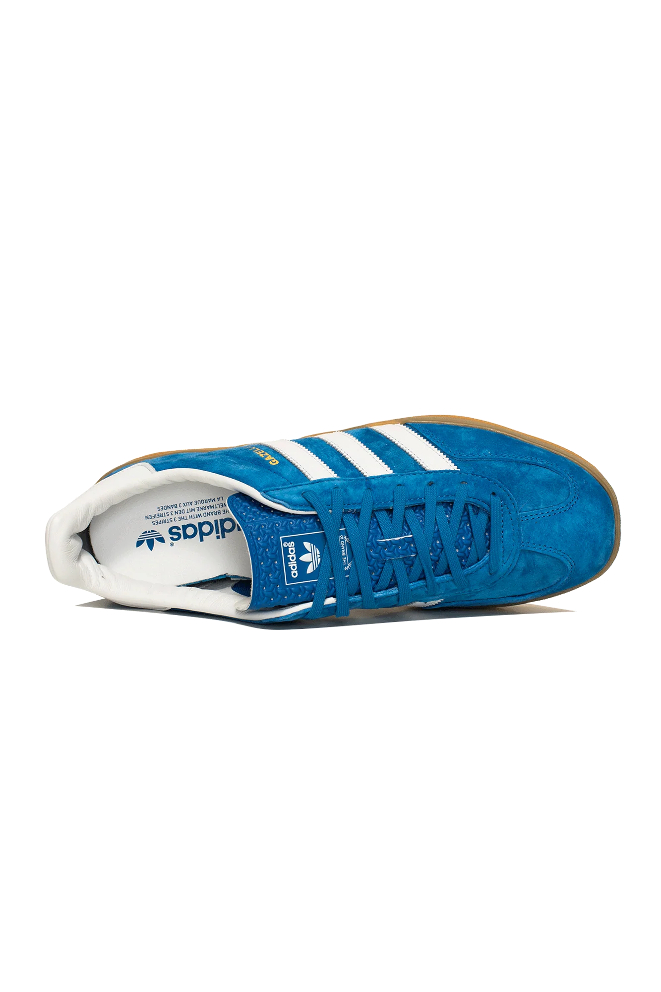 Gazelle Indoor - Image 3