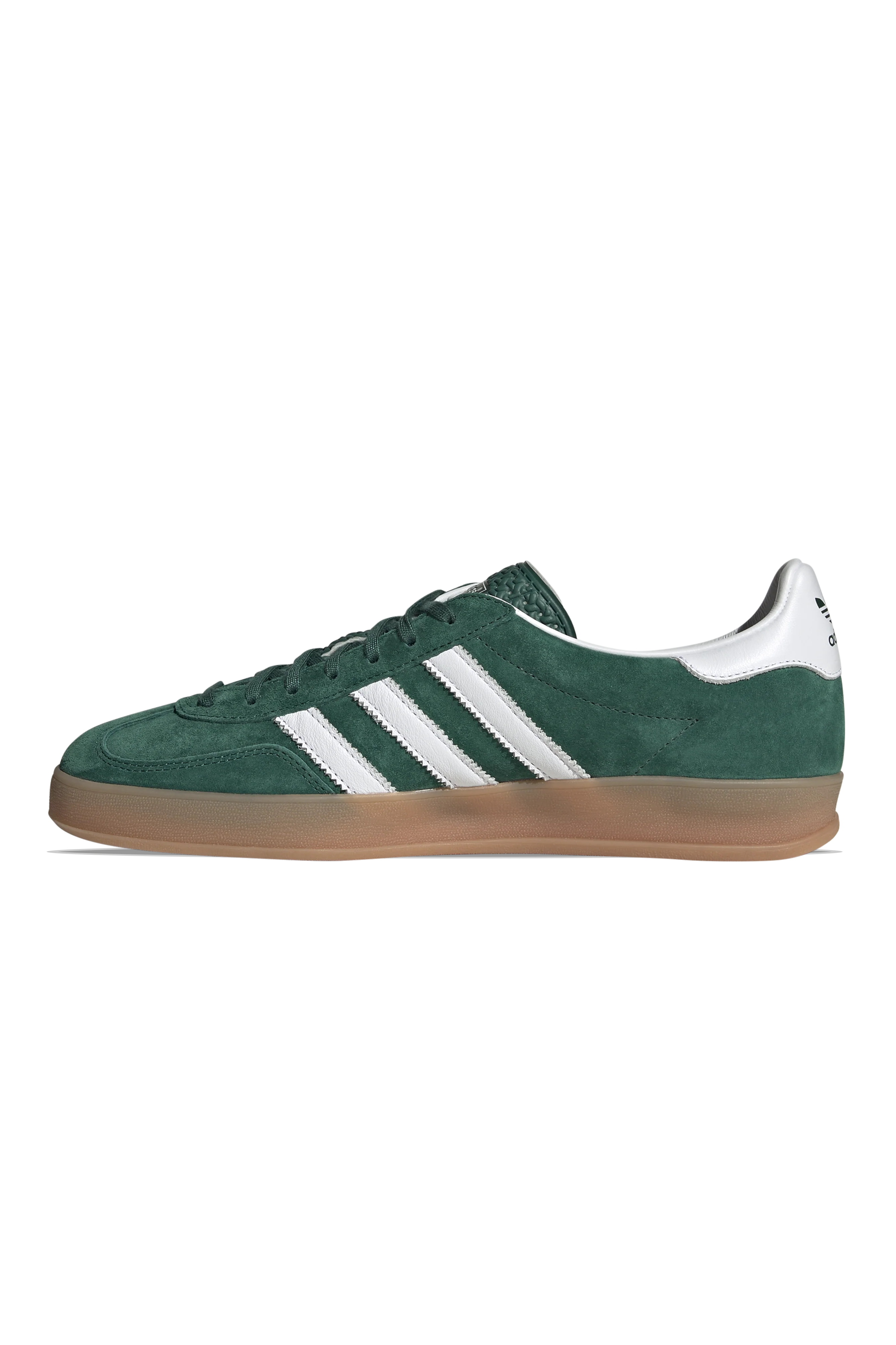 Gazelle Indoor - Image 2