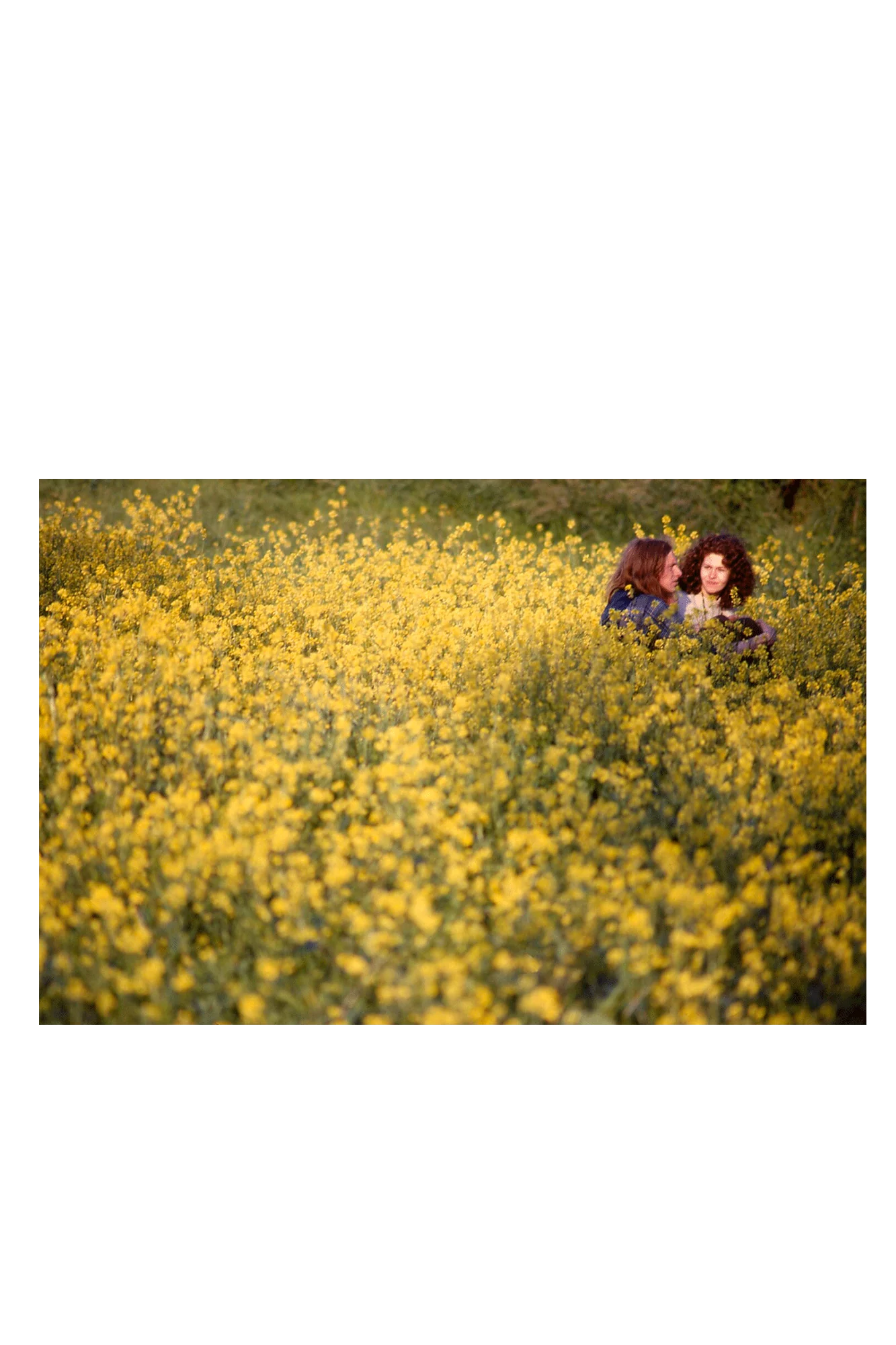 In The Vale Of Avalon: Glastonbury Festival 1971 - Image 4