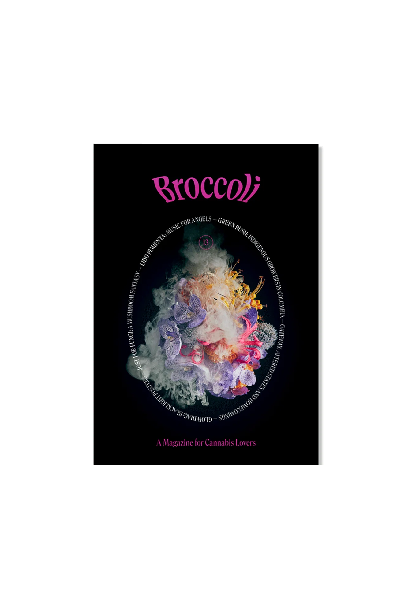 Issue 13