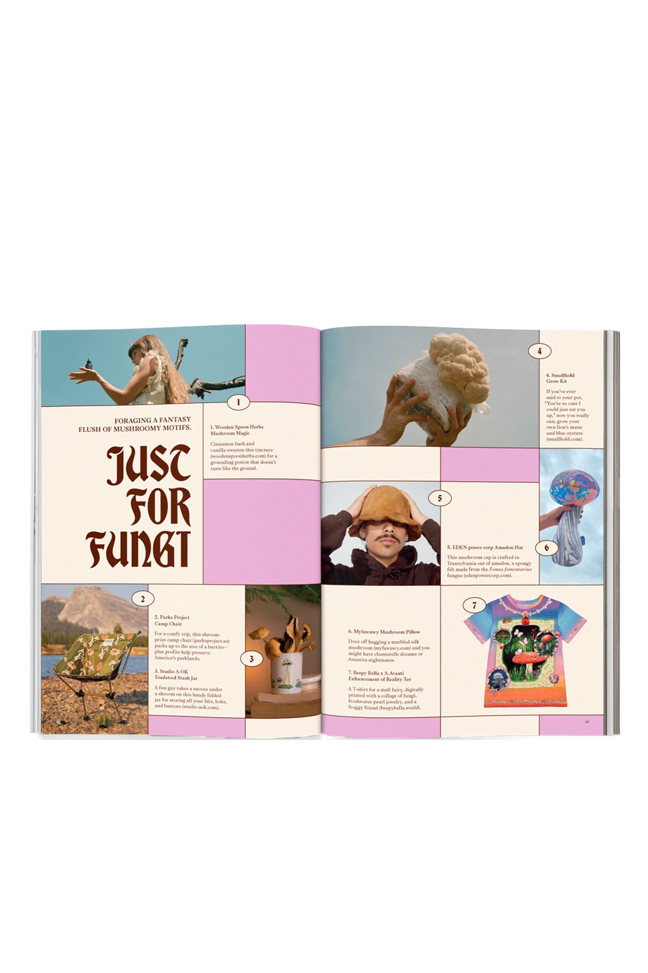 Issue 13 - Image 6