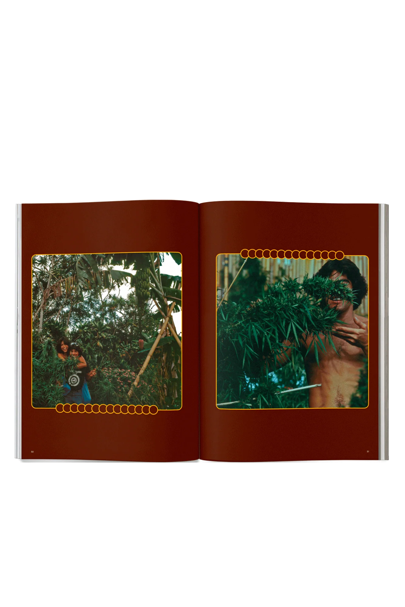 Issue 15 - Image 5