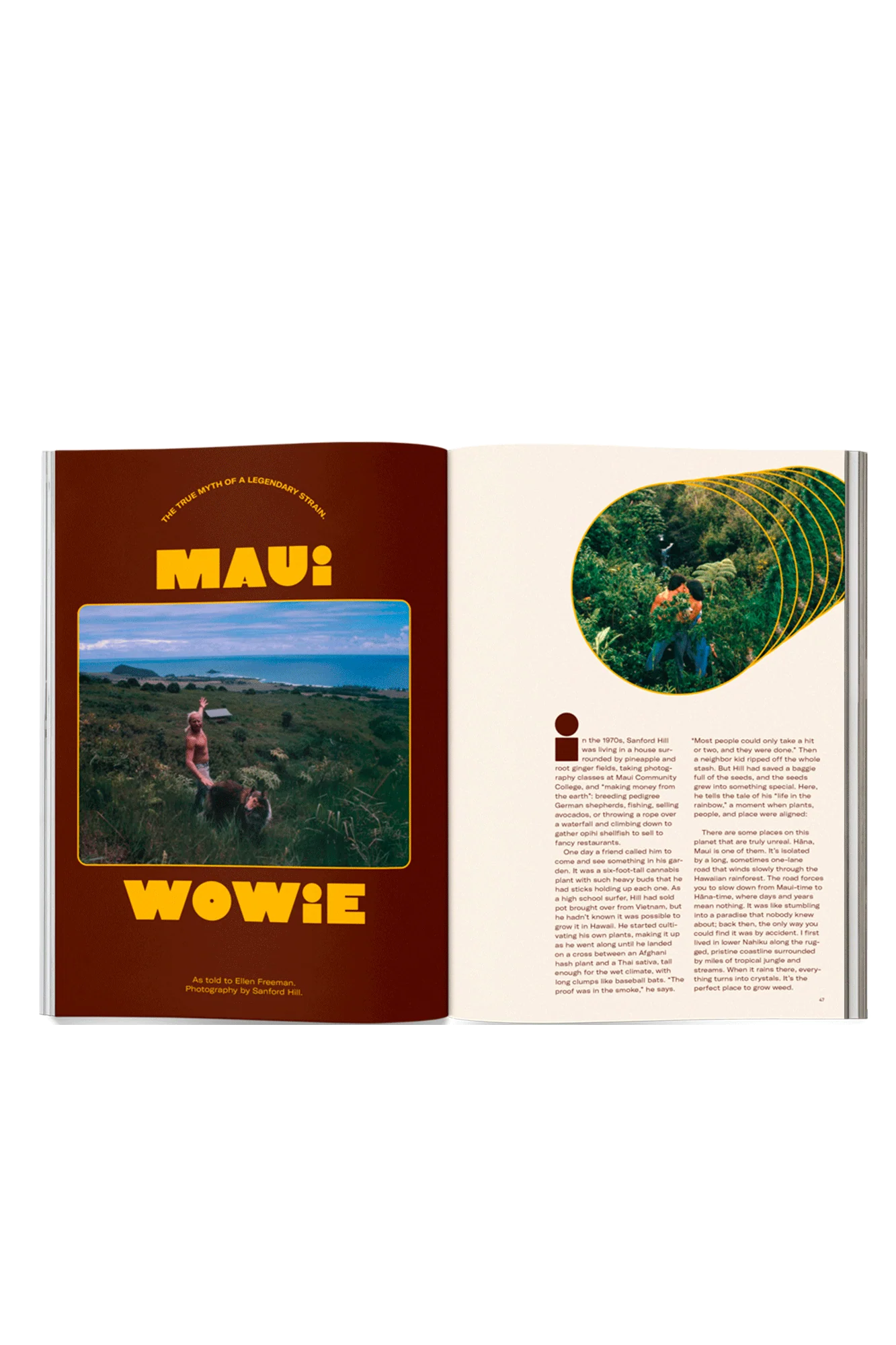 Issue 15 - Image 7
