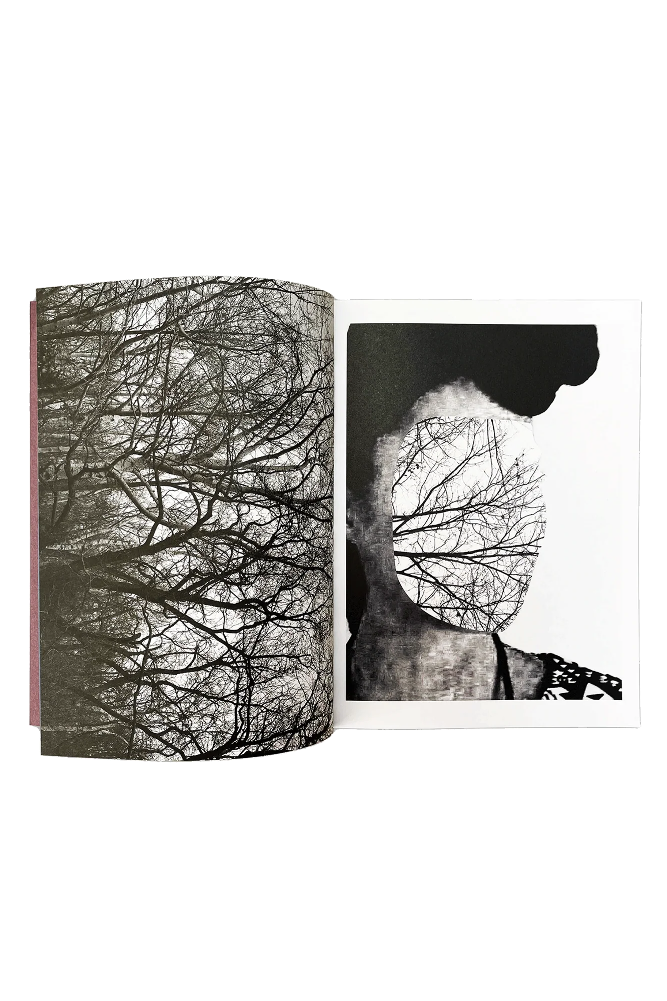 Life Before - Image 2