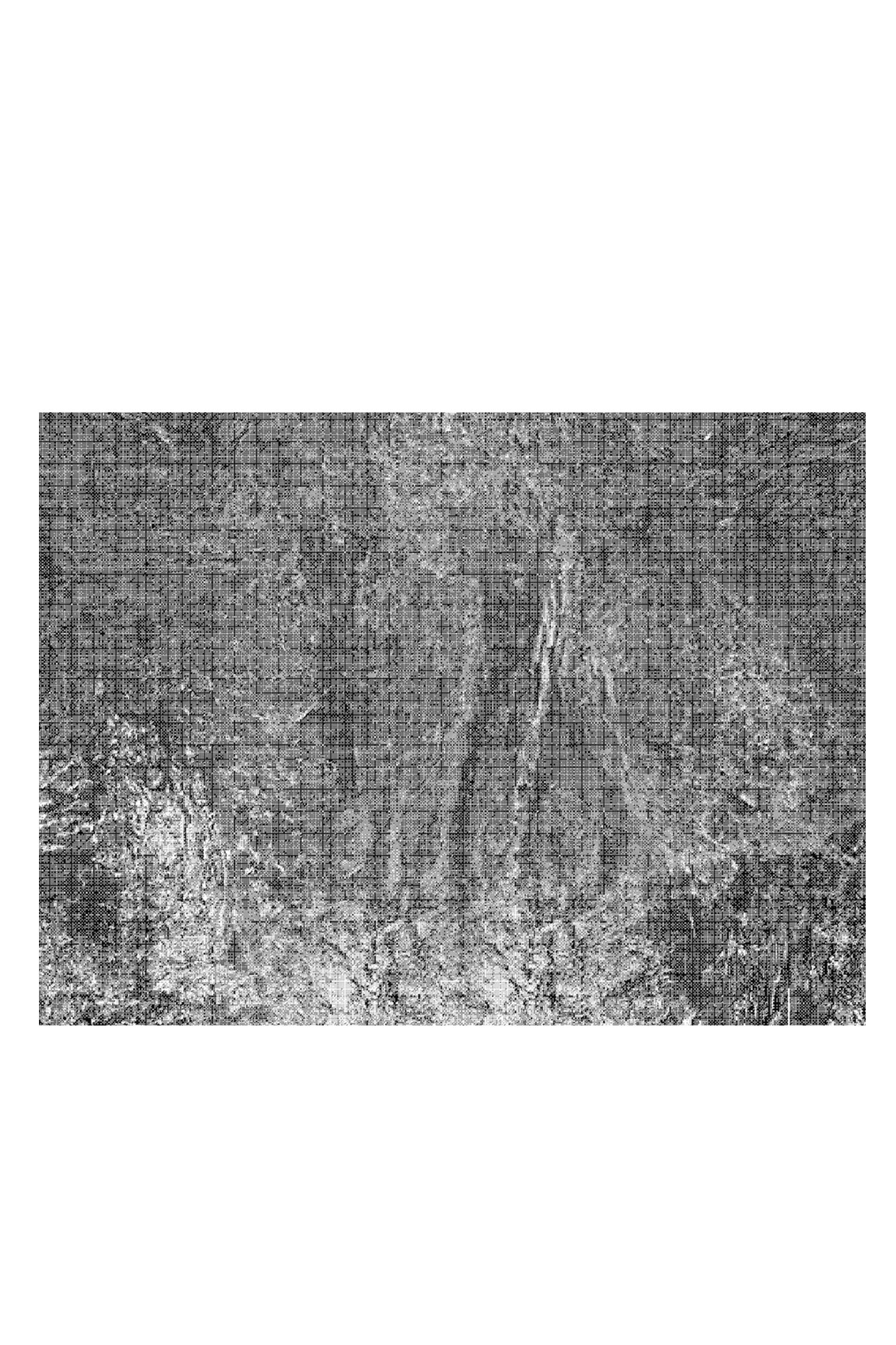 Lost In Evolution - Image 4