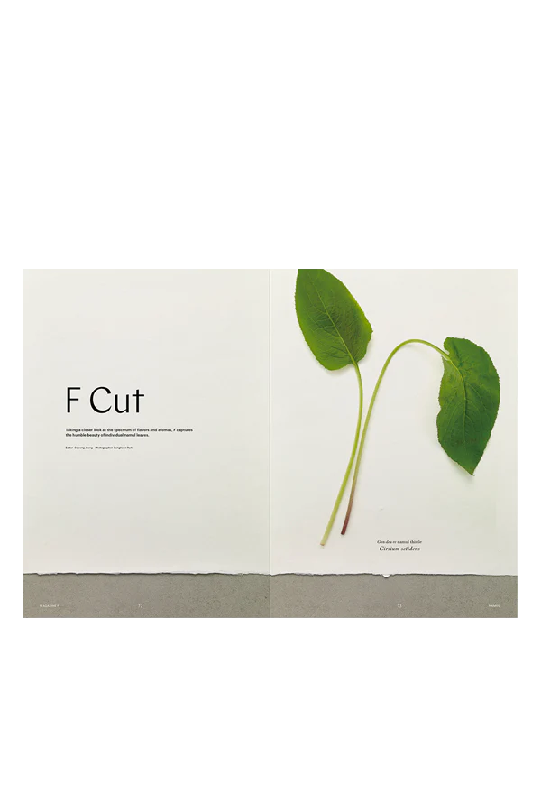 Magazine F Issue #16 NAMUL - Image 6
