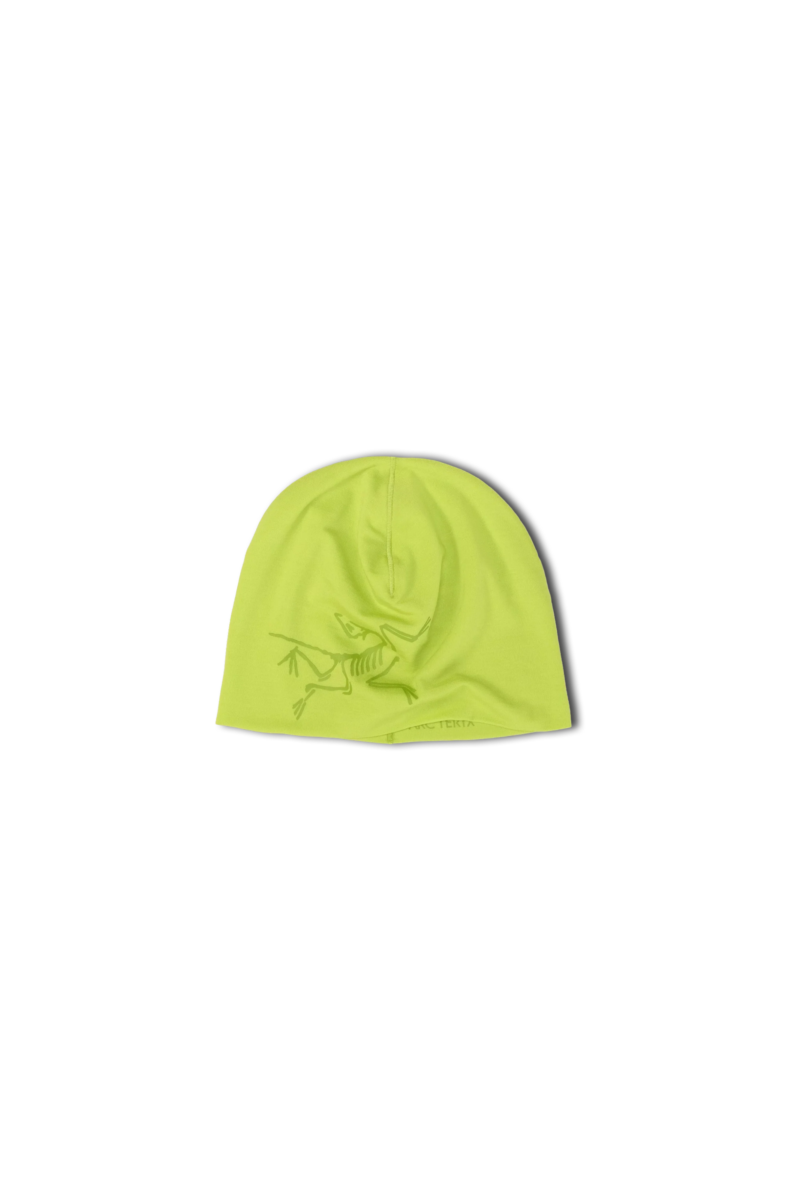 Satoro Merino Toque