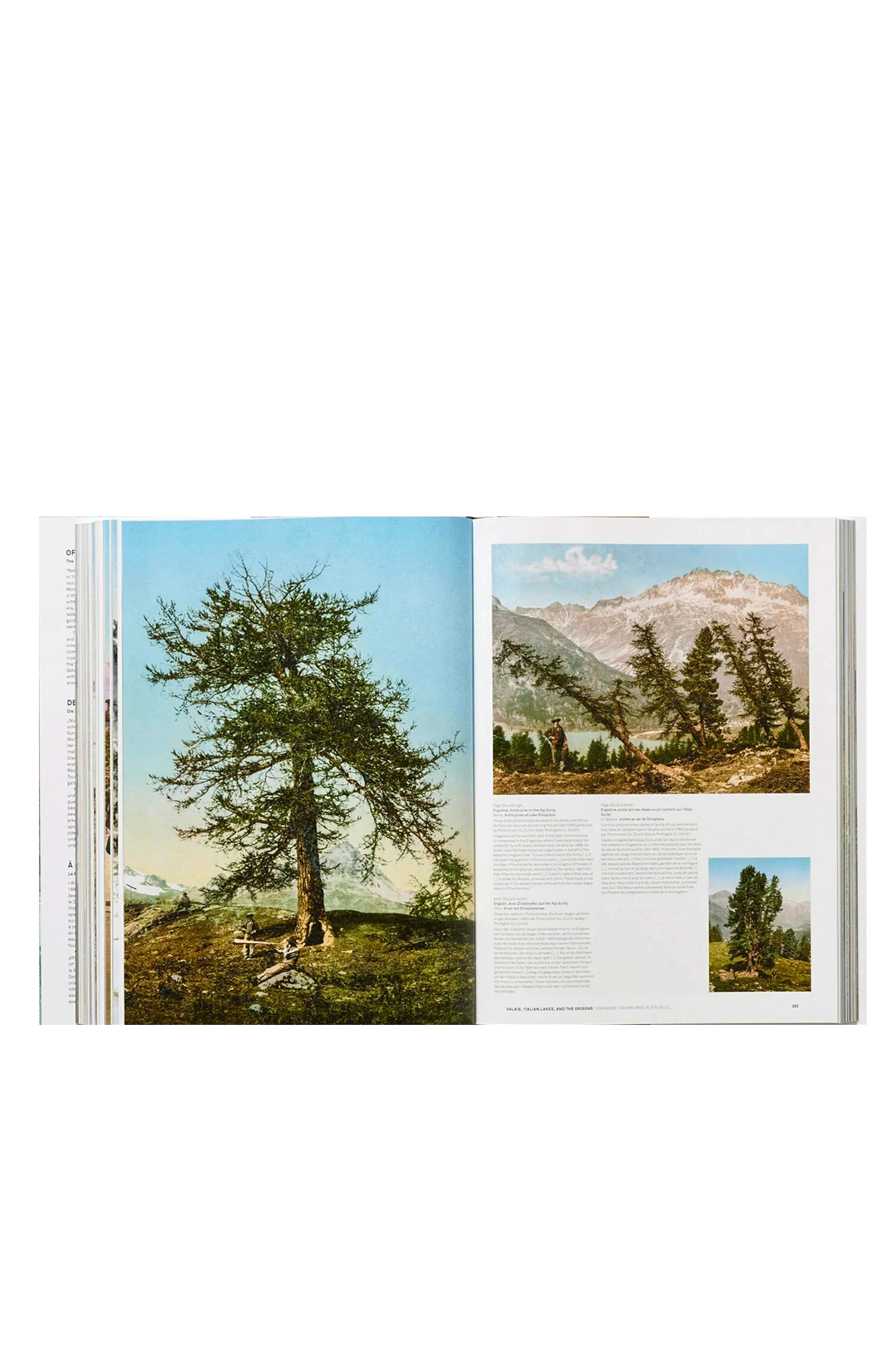 The Alps 1900. A Portrait in Color - Image 6