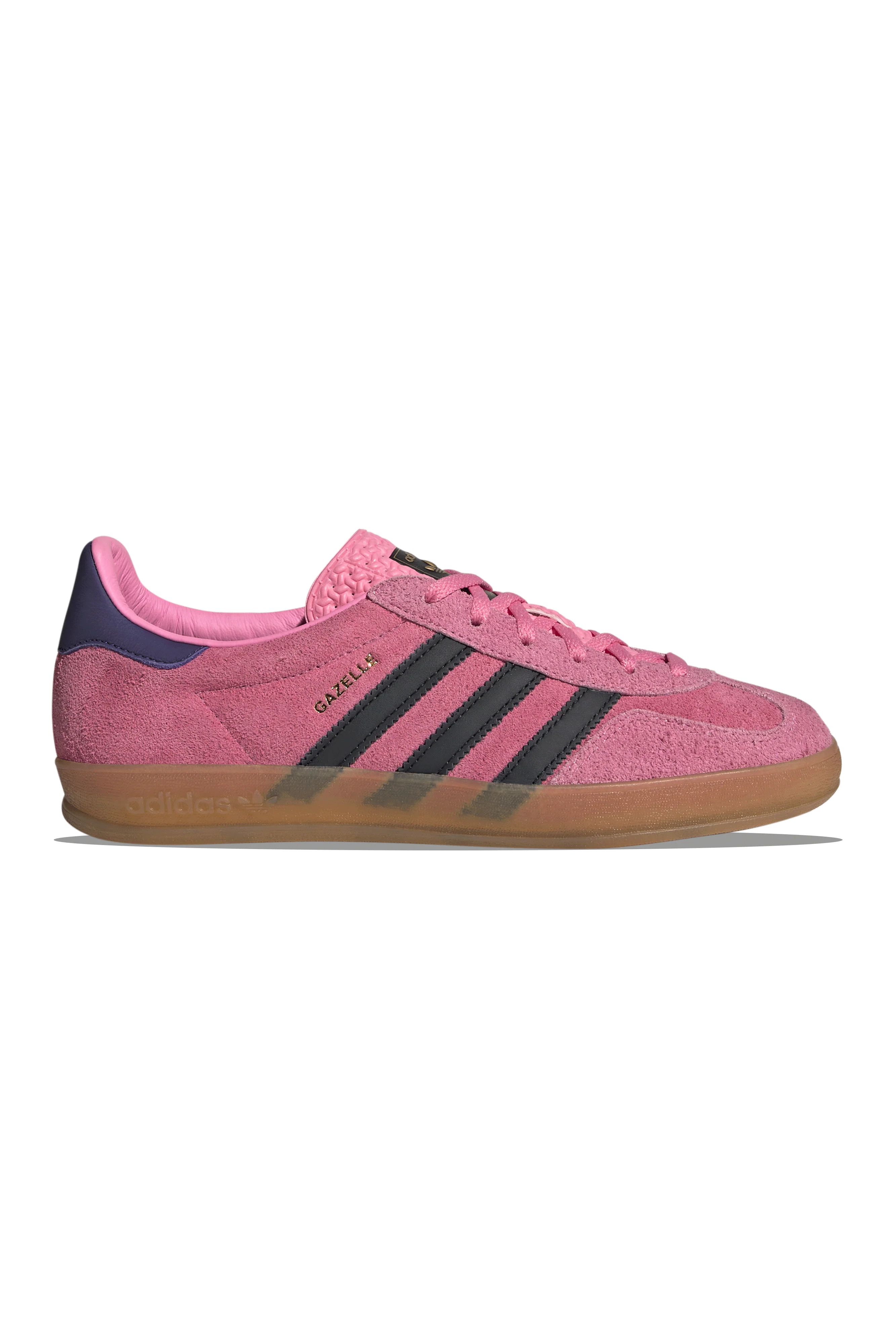 W Gazelle Indoor